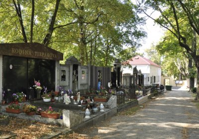 Sedláček Hugo, 2016