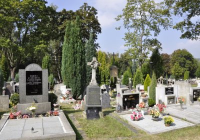 Sedláček Hugo, 2016