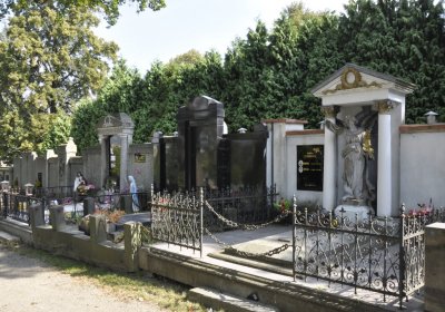 Sedláček Hugo, 2016