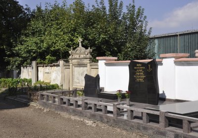 Sedláček Hugo, 2016