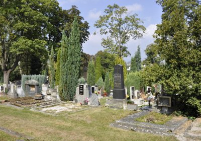 Sedláček Hugo, 2016