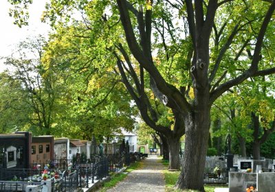 Kadaň, Omnium, 2020