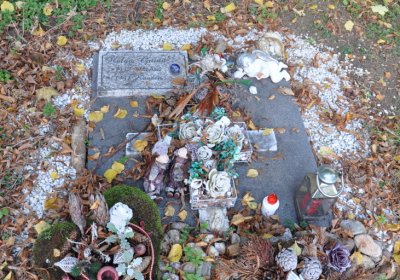 Kadaň, Omnium, 2020