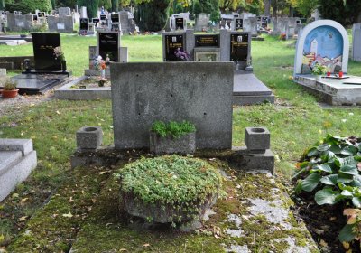 Kadaň, Omnium, 2020