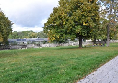 Kadaň, Omnium, 2020