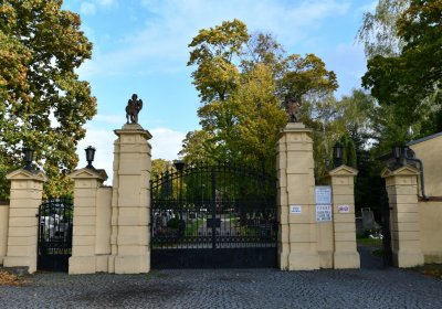 Kadaň, Omnium, 2020