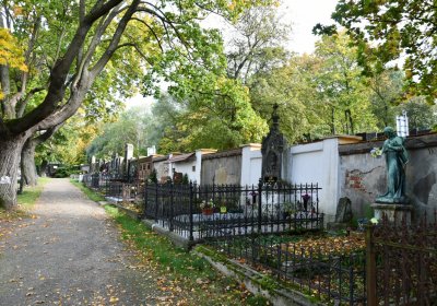 Kadaň, Omnium, 2020