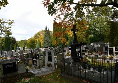 Kadaň, Omnium, 2020