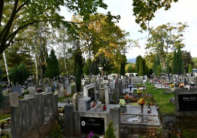 Kadaň, Omnium, 2020