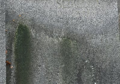 Kadaň, Omnium, 2020