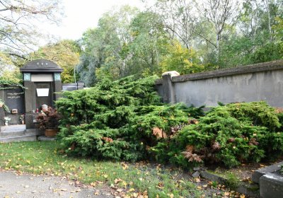 Kadaň, Omnium, 2020