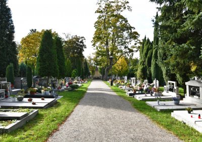 Kadaň, Omnium, 2020