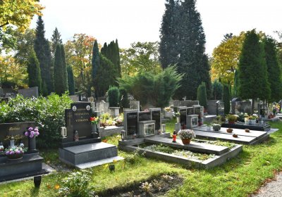 Kadaň, Omnium, 2020