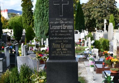 Kadaň, Omnium, 2020