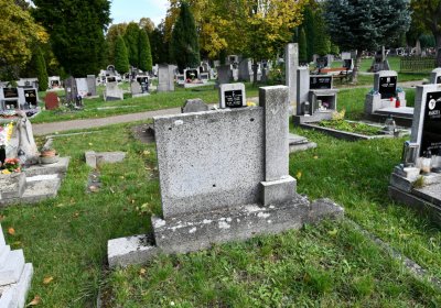 Kadaň, Omnium, 2020