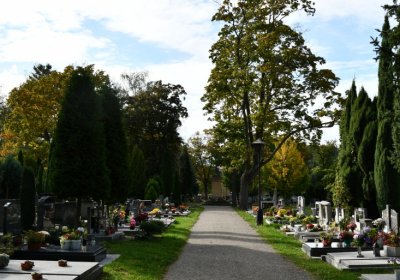 Kadaň, Omnium, 2020