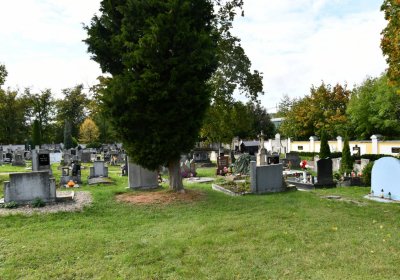 Kadaň, Omnium, 2020