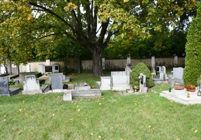 Kadaň, Omnium, 2020