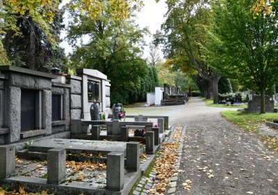 Kadaň, Omnium, 2020