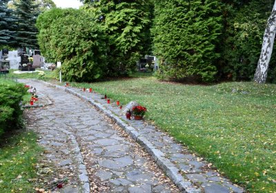 Kadaň, Omnium, 2020