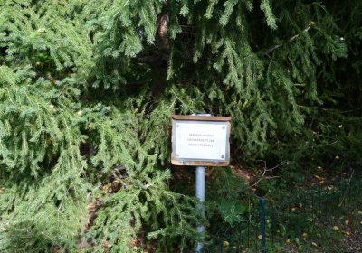 Kadaň, Omnium, 2020