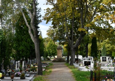 Kadaň, Omnium, 2020