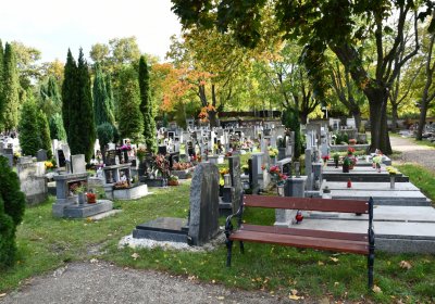 Kadaň, Omnium, 2020