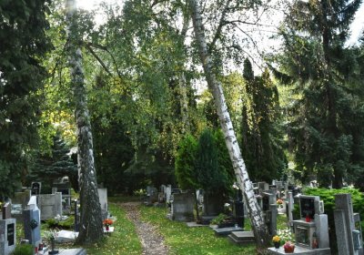 Kadaň, Omnium, 2020