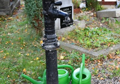 Kadaň, Omnium, 2020