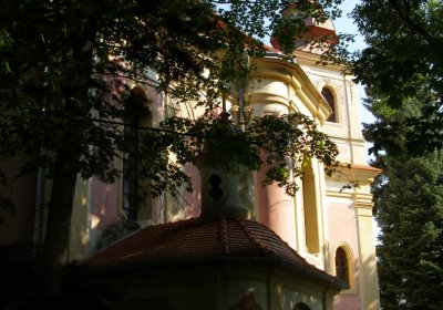 Kmínek Michal, 2020