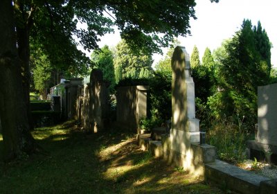 Kmínek Michal, 2020