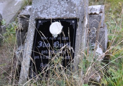 Černý Potok, Omnium, 2020