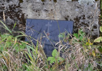 Černý Potok, Omnium, 2020