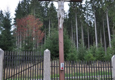 Černý Potok, Omnium, 2020