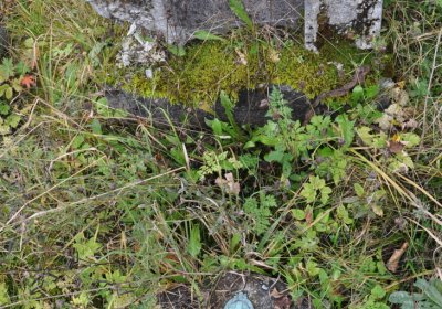 Černý Potok, Omnium, 2020