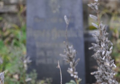 Černý Potok, Omnium, 2020