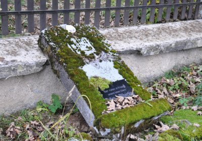 Černý Potok, Omnium, 2020