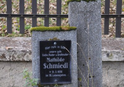 Černý Potok, Omnium, 2020