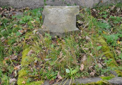 Černý Potok, Omnium, 2020