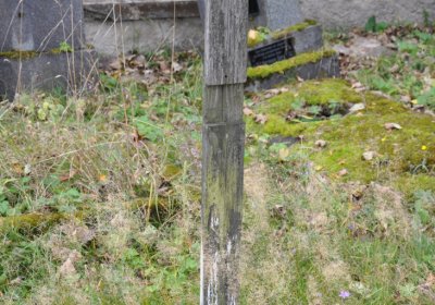 Černý Potok, Omnium, 2020