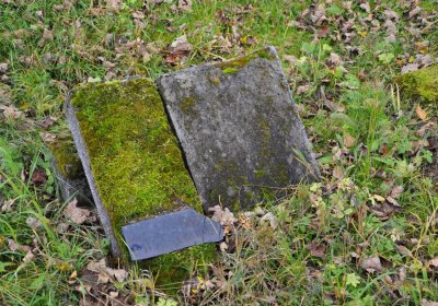 Černý Potok, Omnium, 2020