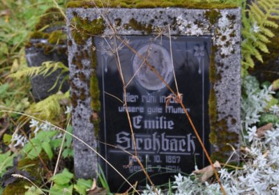 Černý Potok, Omnium, 2020