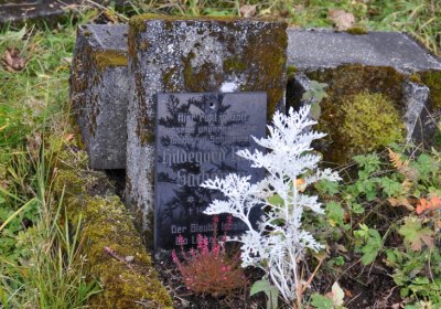 Černý Potok, Omnium, 2020