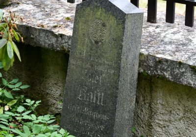 Černý Potok, Omnium, 2020