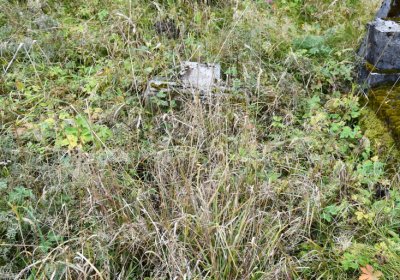 Černý Potok, Omnium, 2020