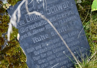 Černý Potok, Omnium, 2020