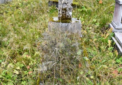 Černý Potok, Omnium, 2020