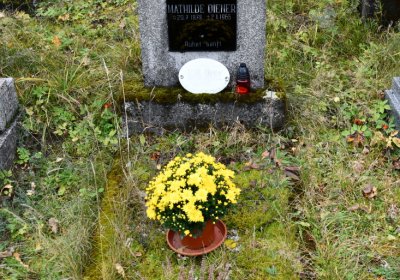 Černý Potok, Omnium, 2020