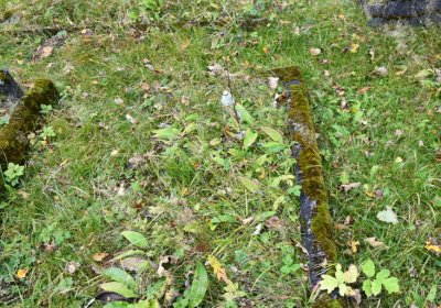 Černý Potok, Omnium, 2020