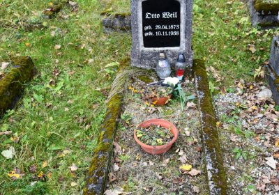 Černý Potok, Omnium, 2020